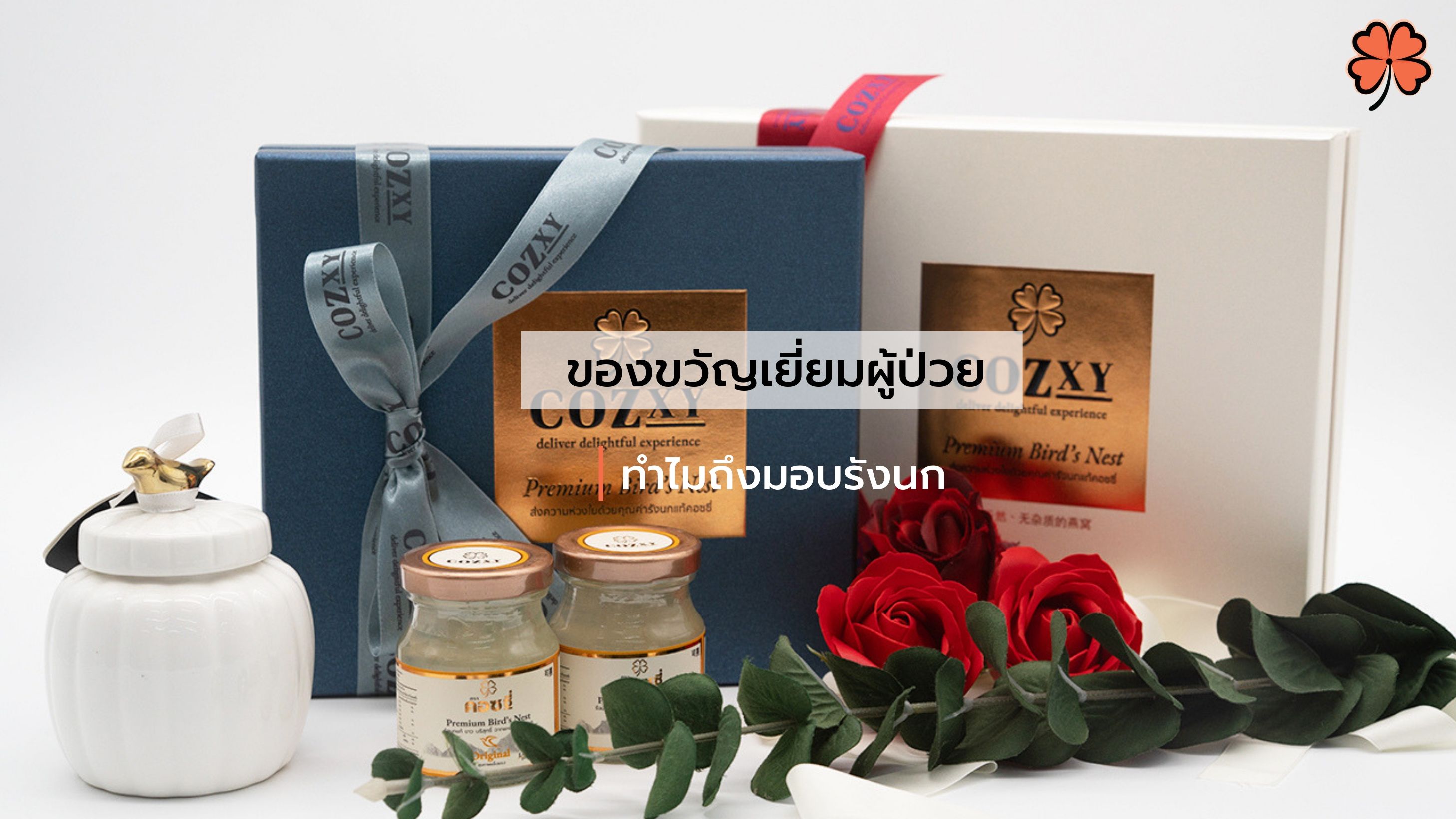 ของขวัญเยี่ยมผู้ป่วย ทําไมถึงมอบรังนก - Cozxy Blog Article