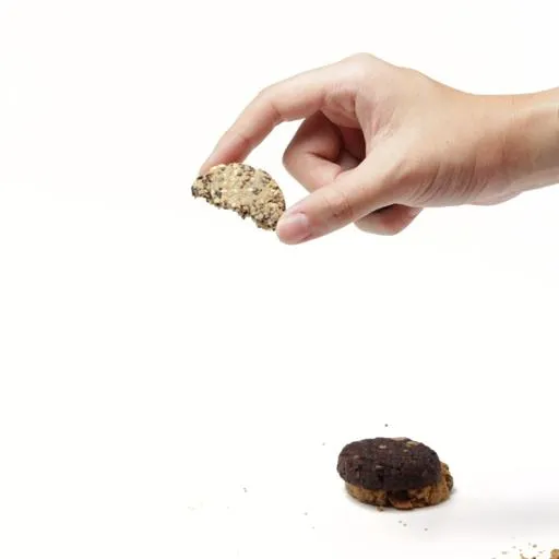 Classic Cookie Bites Jar กระปุกคุกกี้ธัญพืช 210g - Cozxy | Health Product Image