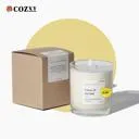 Citrus & Sea Salt เทียนหอมขนาด 240g - COZXY Thumbnail