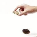 Classic Cookie Bites Jar กระปุกคุกกี้ธัญพืช 210g - Cozxy | Health Thumbnail